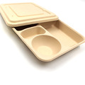 5-Compartment Bagasse Trays Disposable Natural Healthy Lunch Plate Made Of Sugarcane Fibers